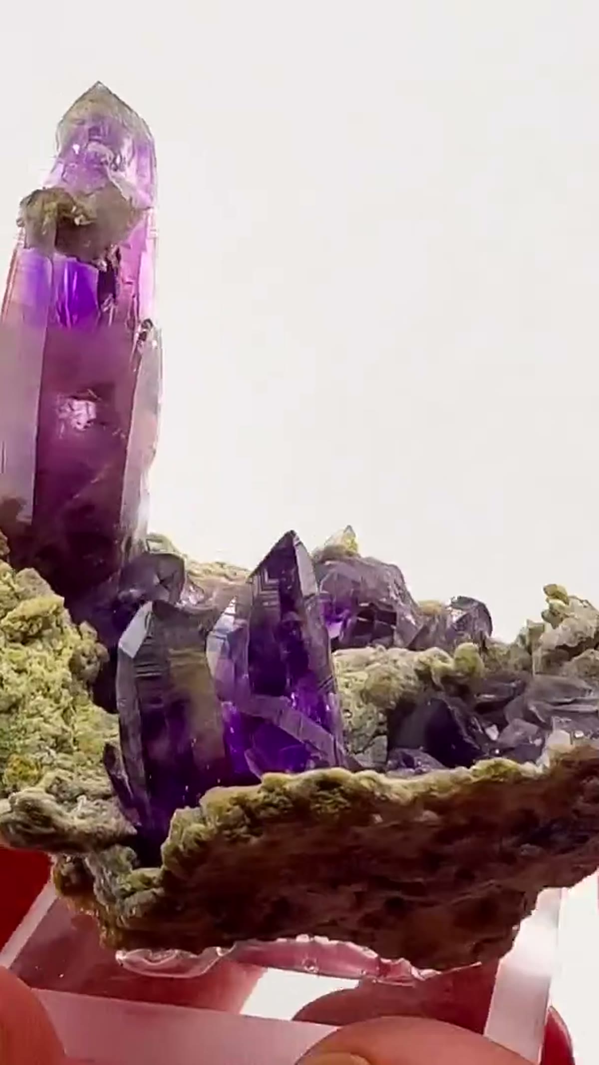 Amethyst Specimen from Mexico: Purple perfection rising from the matrix - view 4