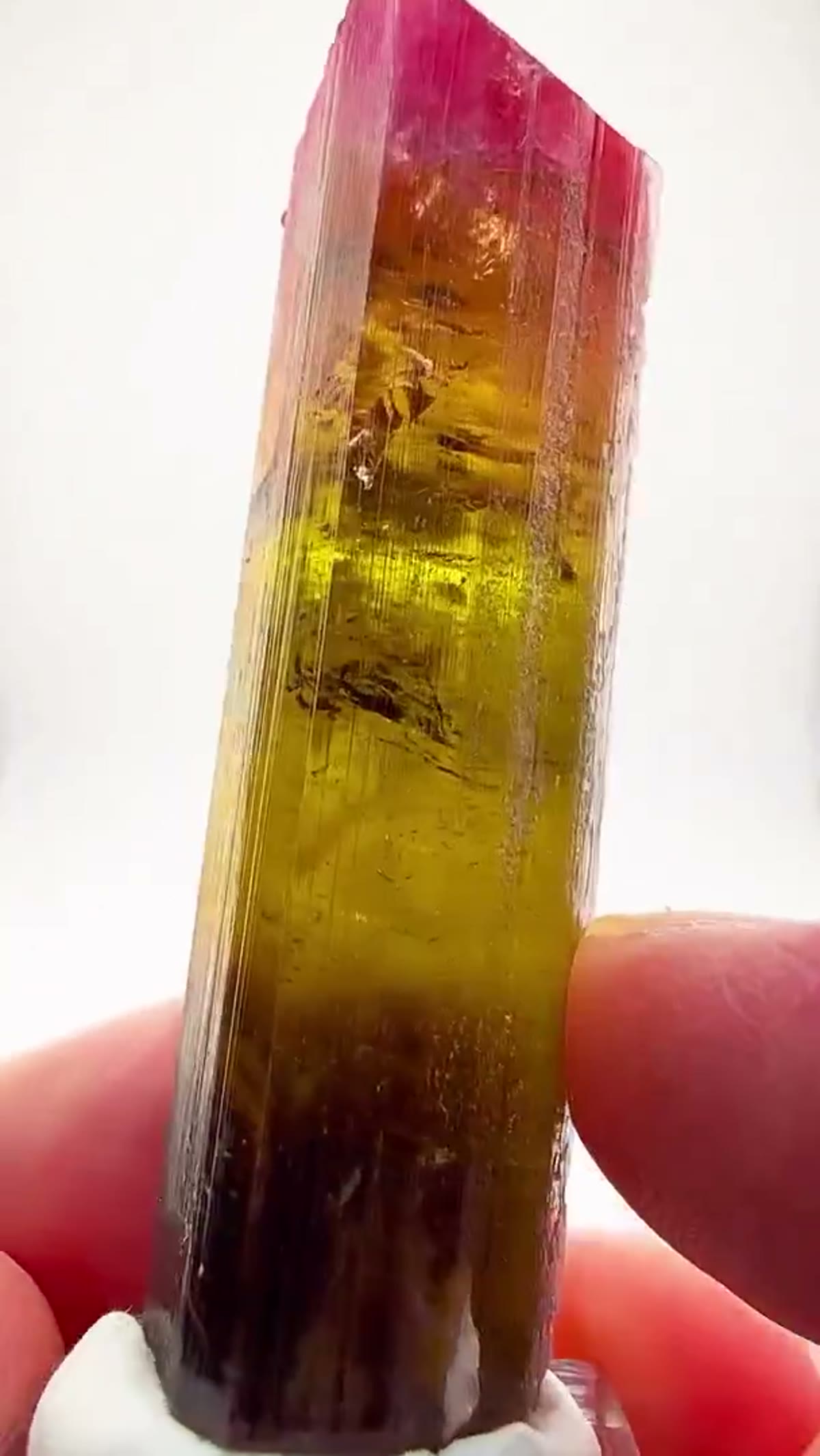 Elbaite Tourmaline Specimen from Malkhan, Russia: Siberian frozen in crystal form - view 4