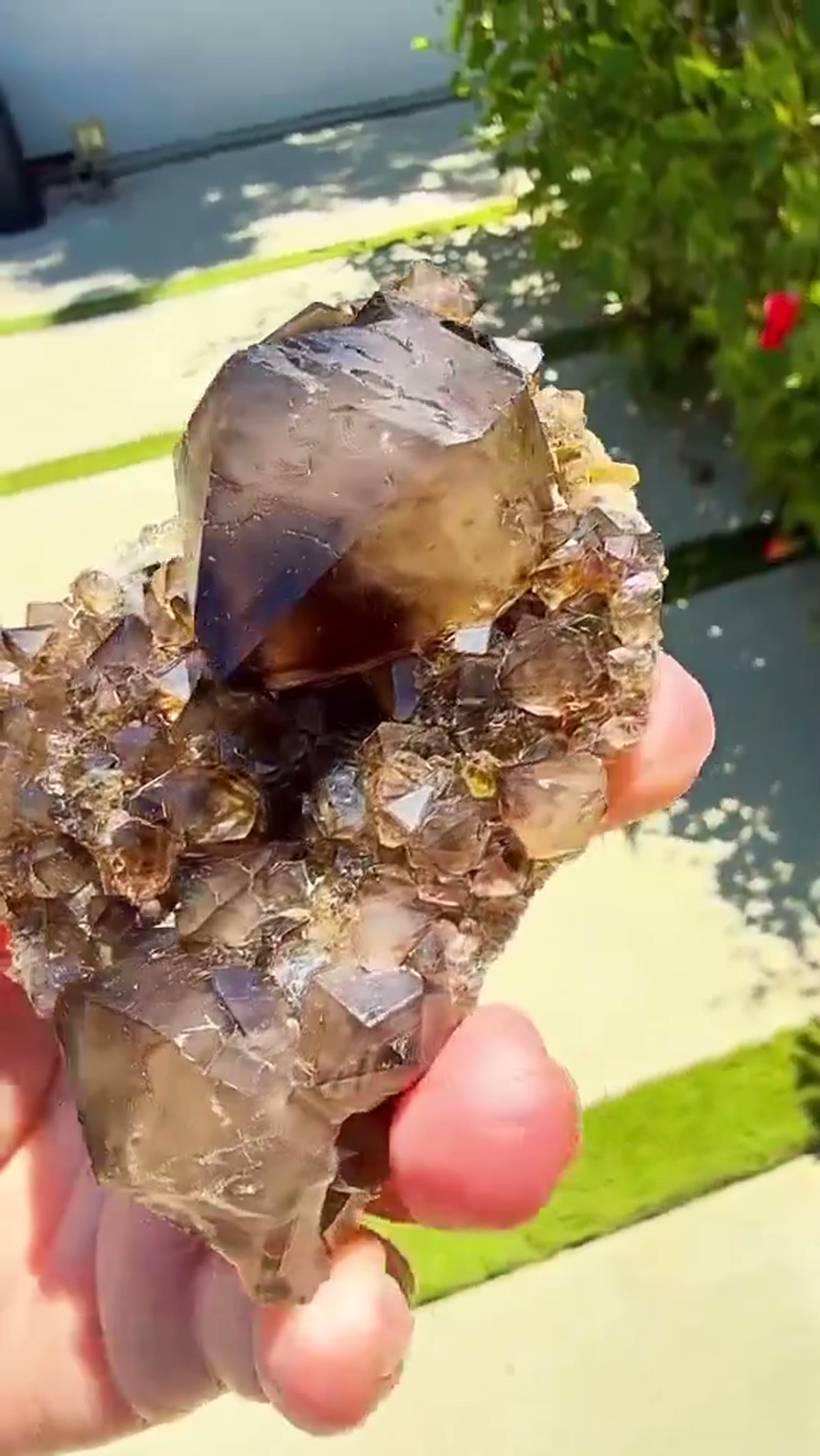 Smoky Quartz Specimen: Australian smoky quartz differently in the sunlight - view 4