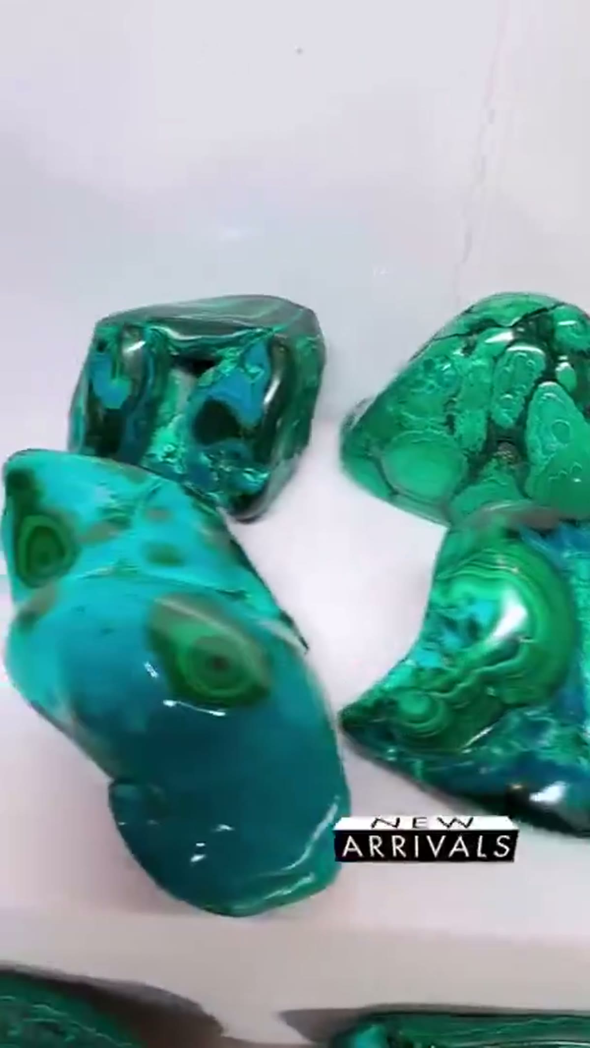 Malachite Specimen: New Arrival Polished Malacholla - view 4