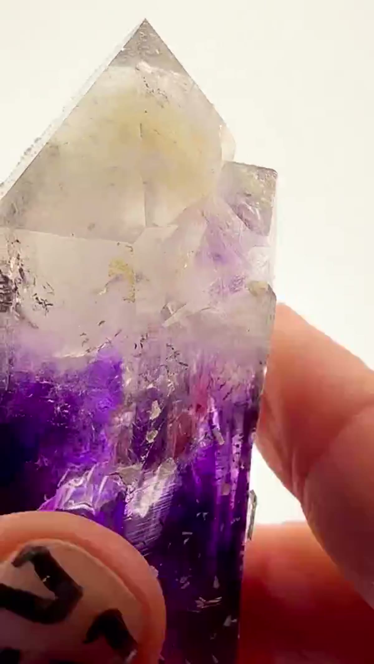 Amethyst Specimen from Goboboseb Mountains, Namibia: An Absolute Masterpiece of Nature - view 4