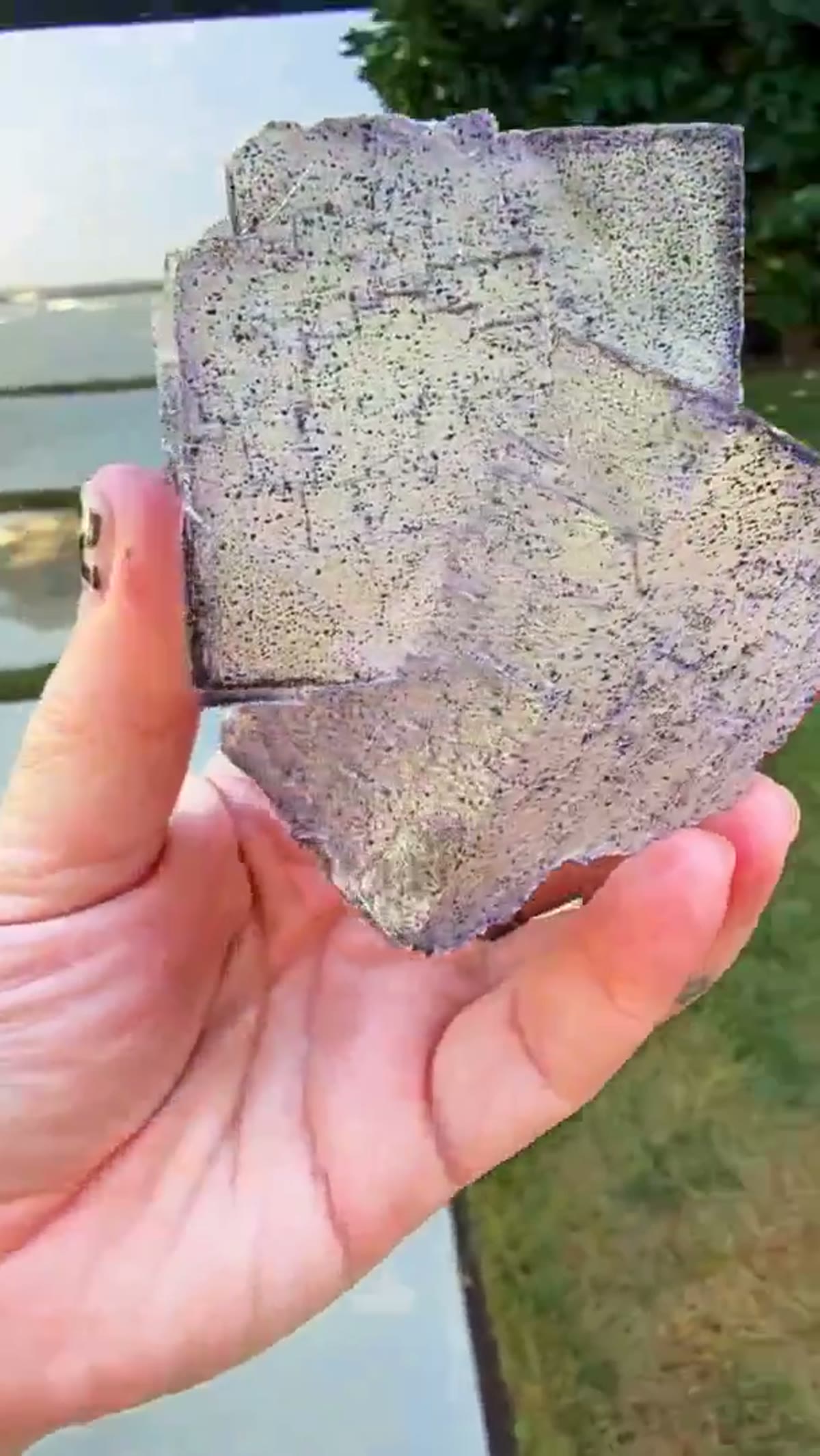 Fluorite Specimen from Elmwood Mine, Tennessee: Elmwood Perfection - view 4