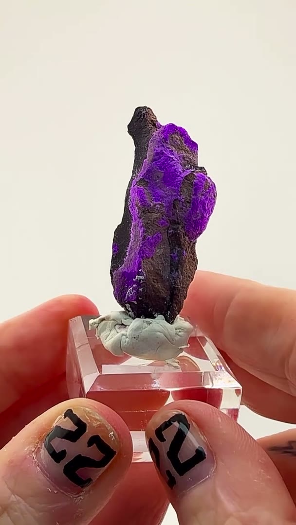 PURPLE ELECTRICITY FROM THE KALAHARI