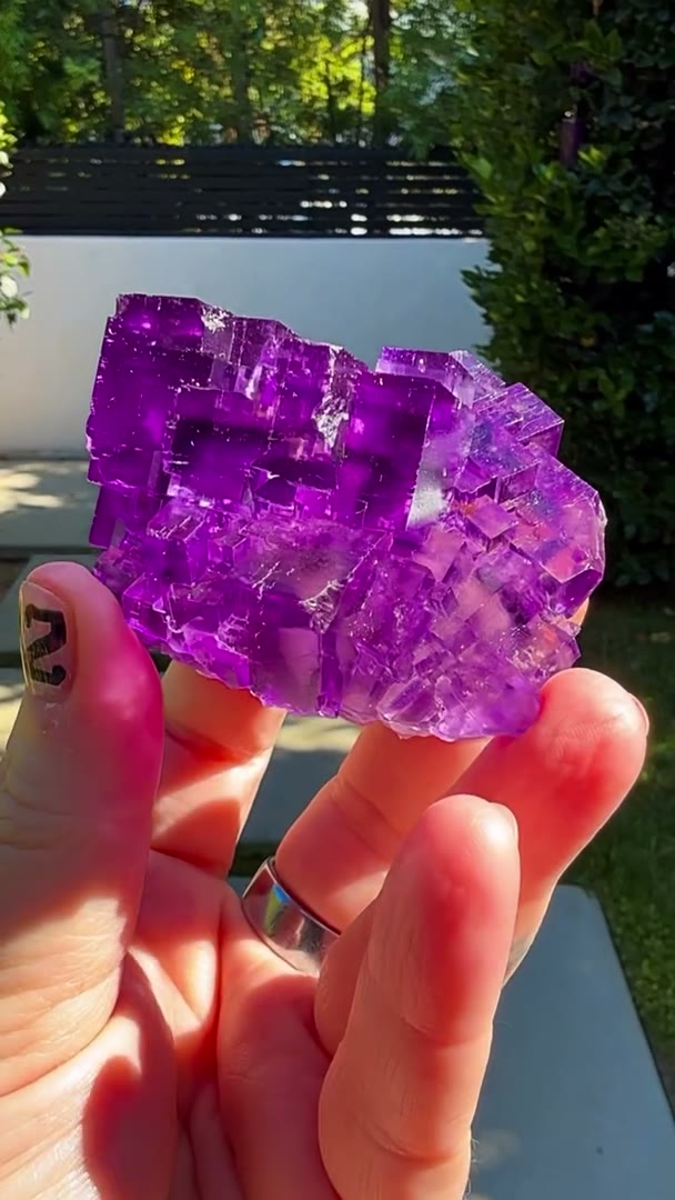 Electric Glassy grape perfection