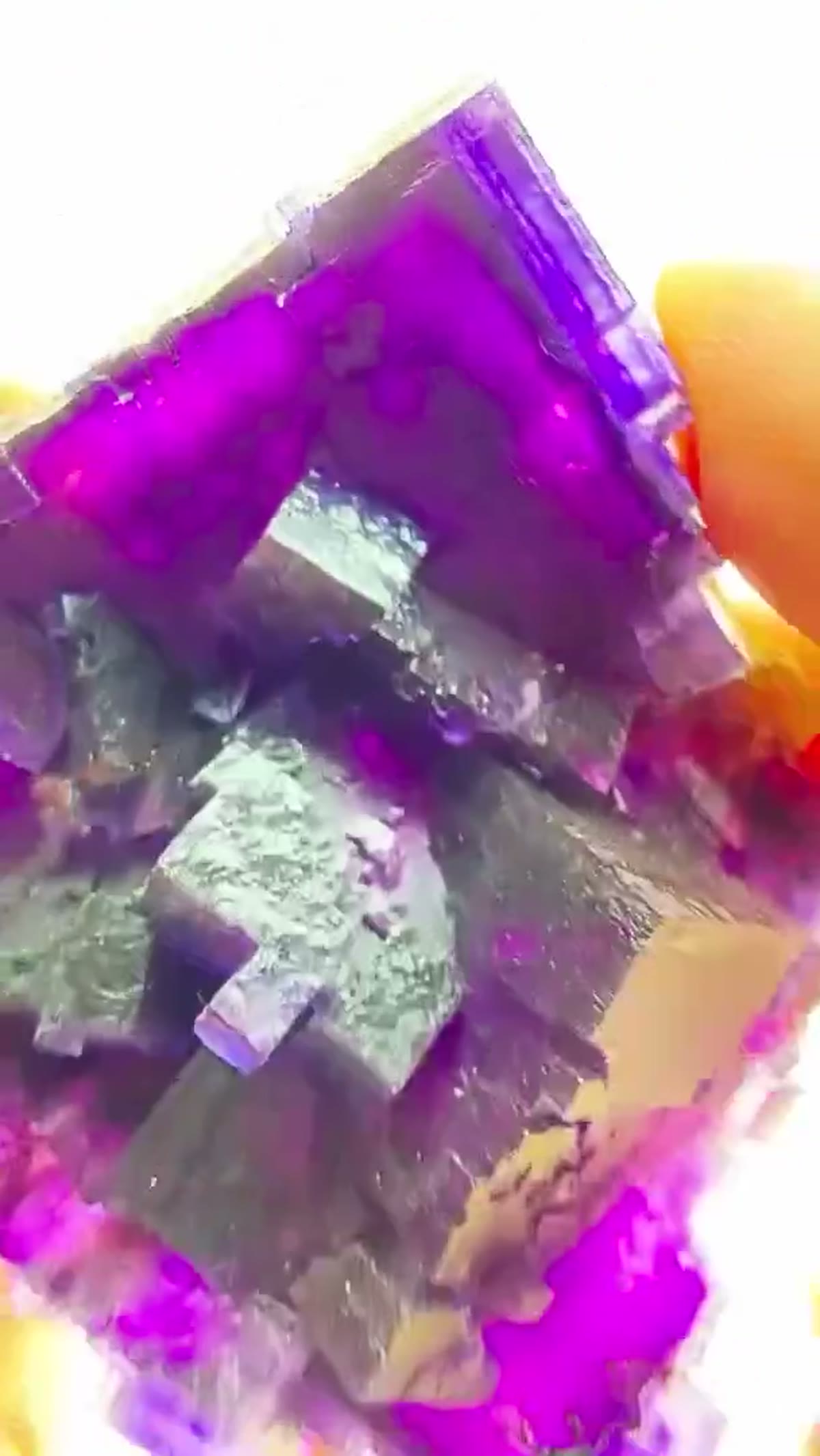 Fluorite Specimen from Minerva No. 1 Mine, Illinois: Rosiclare-level royalty - view 4