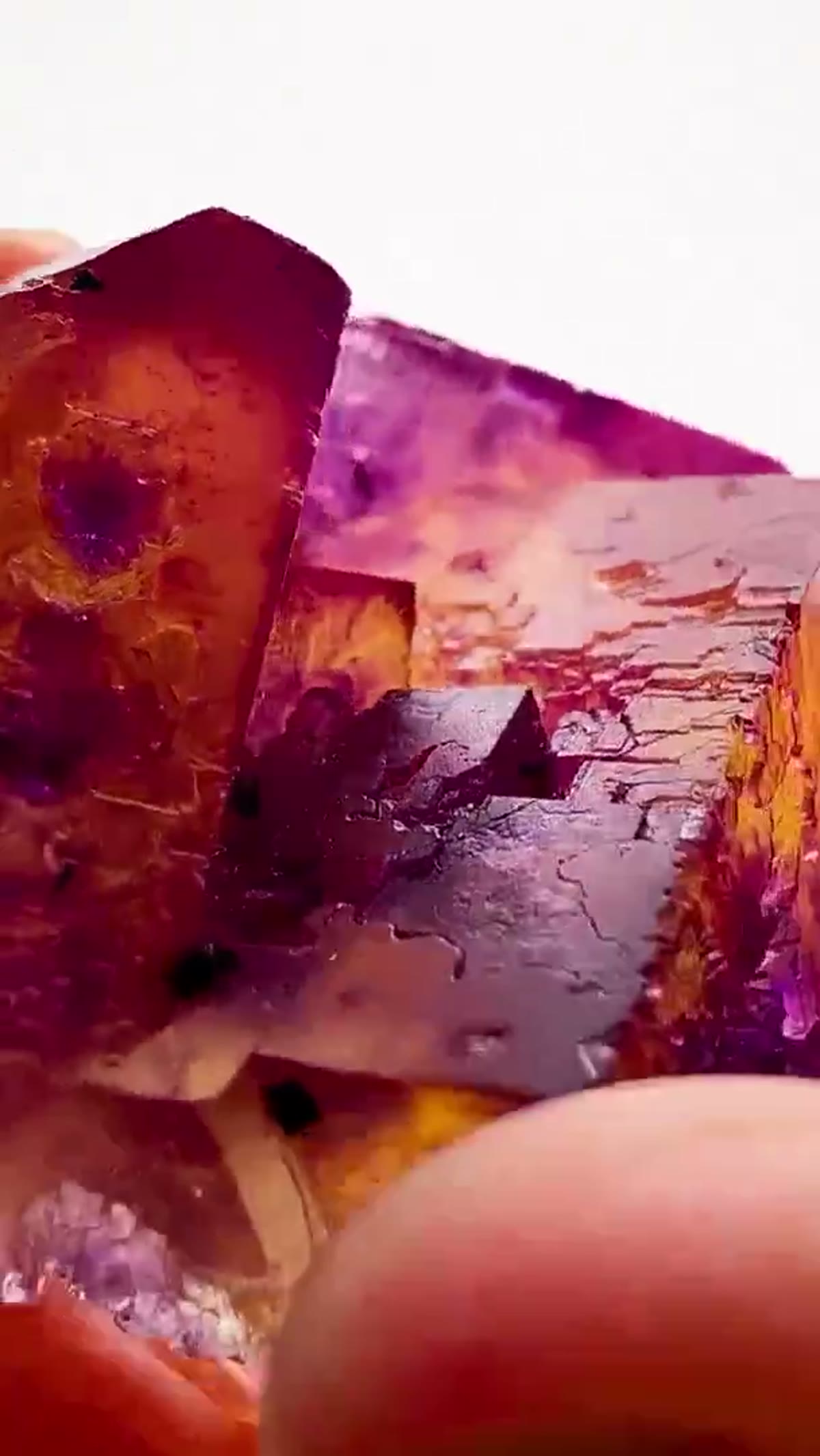 Fluorite Specimen from Hardin County, Illinois: W.L. Davis magic under the lights - view 4