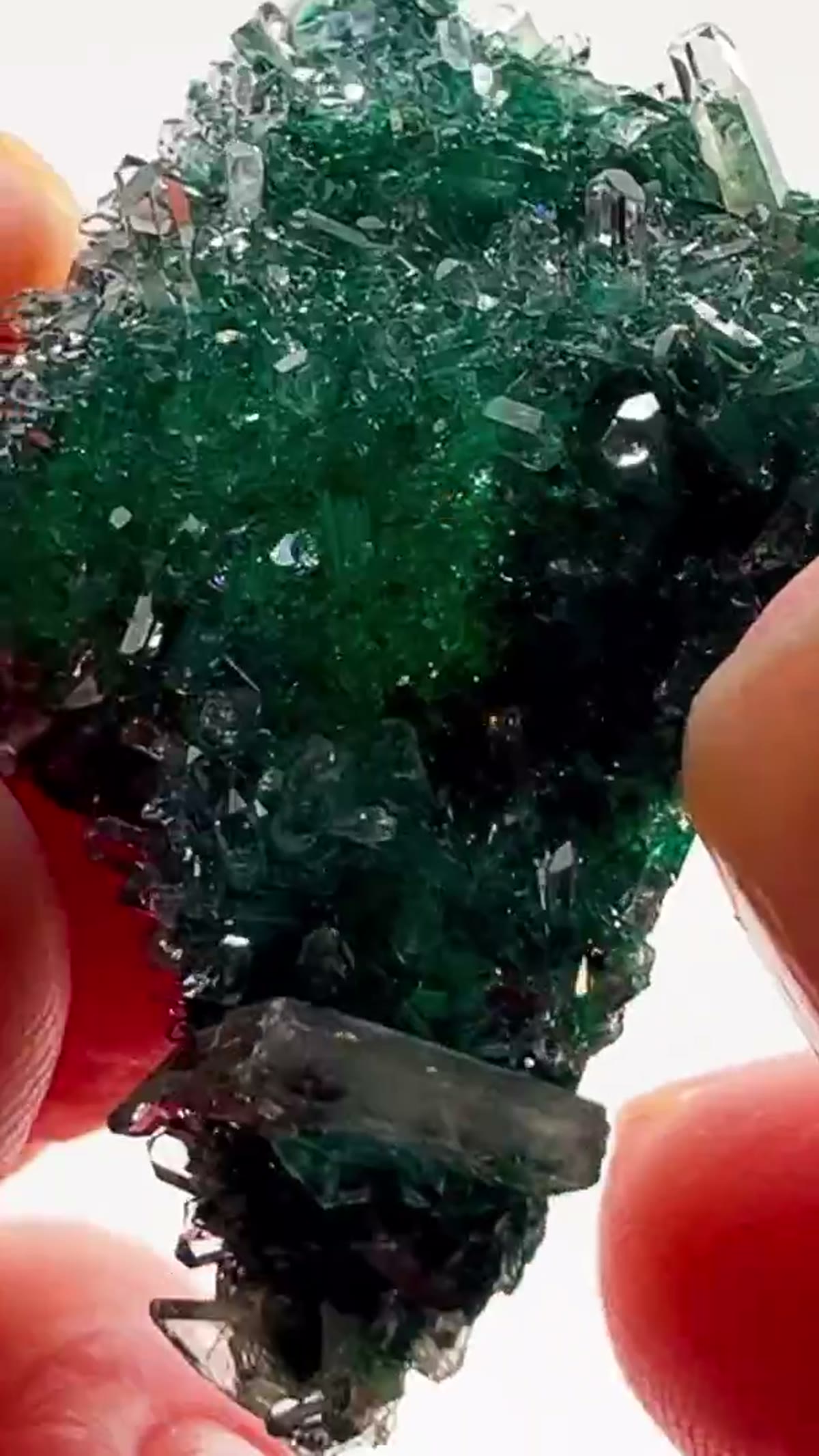Malachite Specimen: Straight out of the legendary “Glass Pocket” - view 4