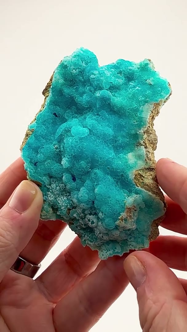 Electric blue perfection from the Congo