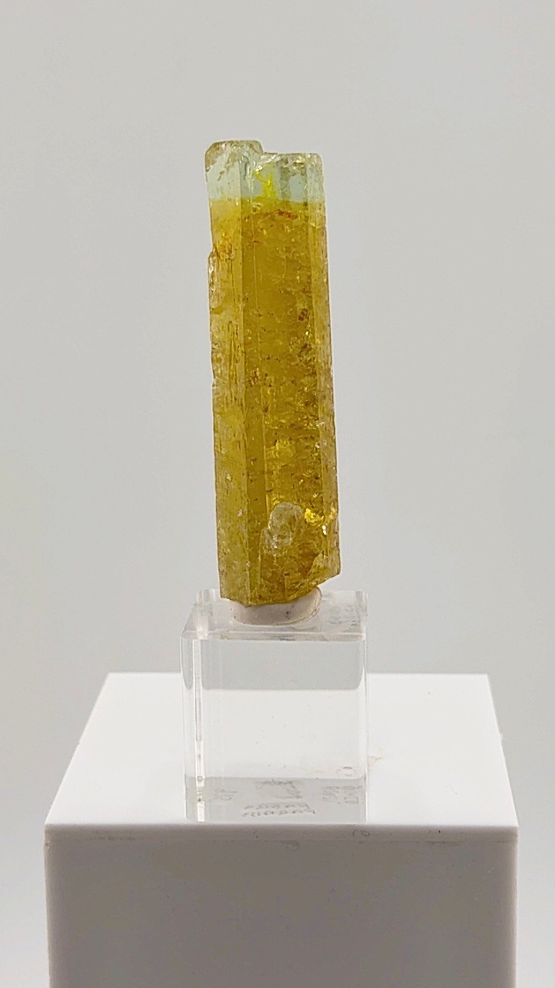 This exceptional 32.50 gram Heliodor from the legendary Padre Paraíso Pegmatite, Minas Gerais, Brazil displays a rich golden body that seamlessly transitions into a delicate aquamarine-blue tip