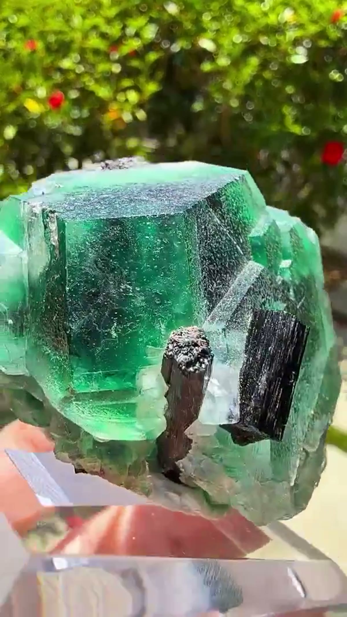 Fluorite Specimen from Erongo Mountains, Namibia: Erongo elegance with a dark twist - view 4