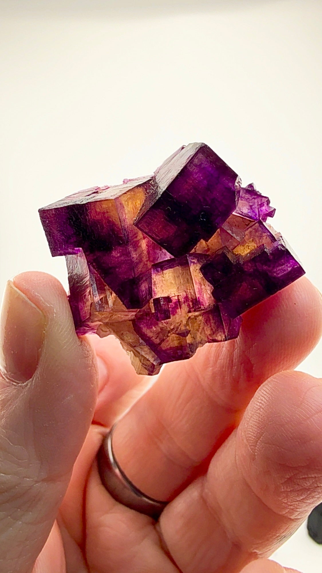 Illinois fluorite at its finest—captured in miniature
