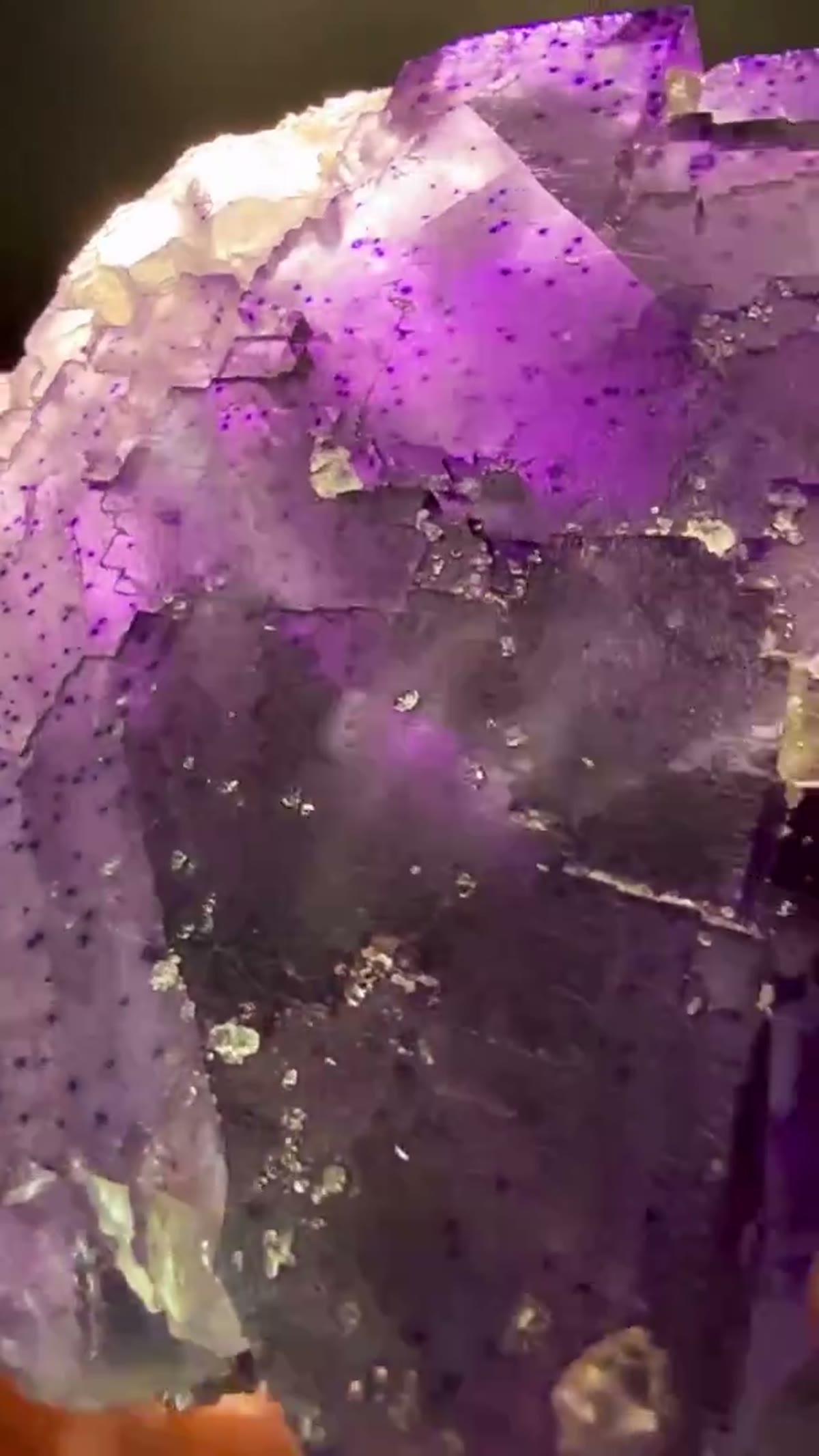 Fluorite Specimen from Hardin County, Illinois, 540 g: A true Illinois heavyweight … 1,540 grams of - view 4