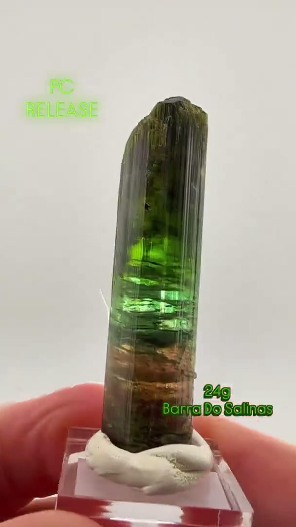 Elbaite Tourmaline Specimen from Minas Gerais, Brazil: PC Release - view 4