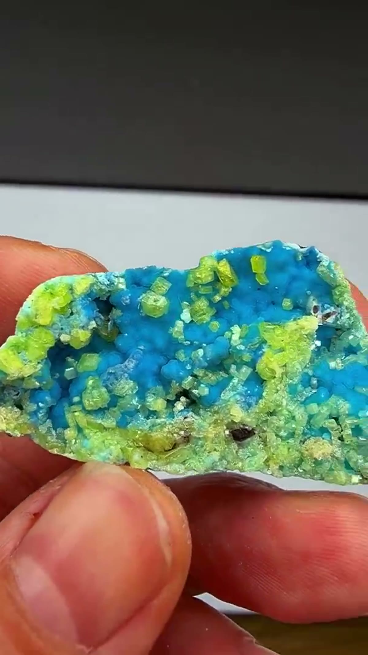 Philipsbornite Specimen: Philipsbornite with Mimetite… A Special Find From THE - view 4