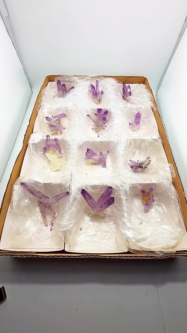 VERACRUZ PARCEL ALERT — 12 HIGH-GRADE STUNNERS!