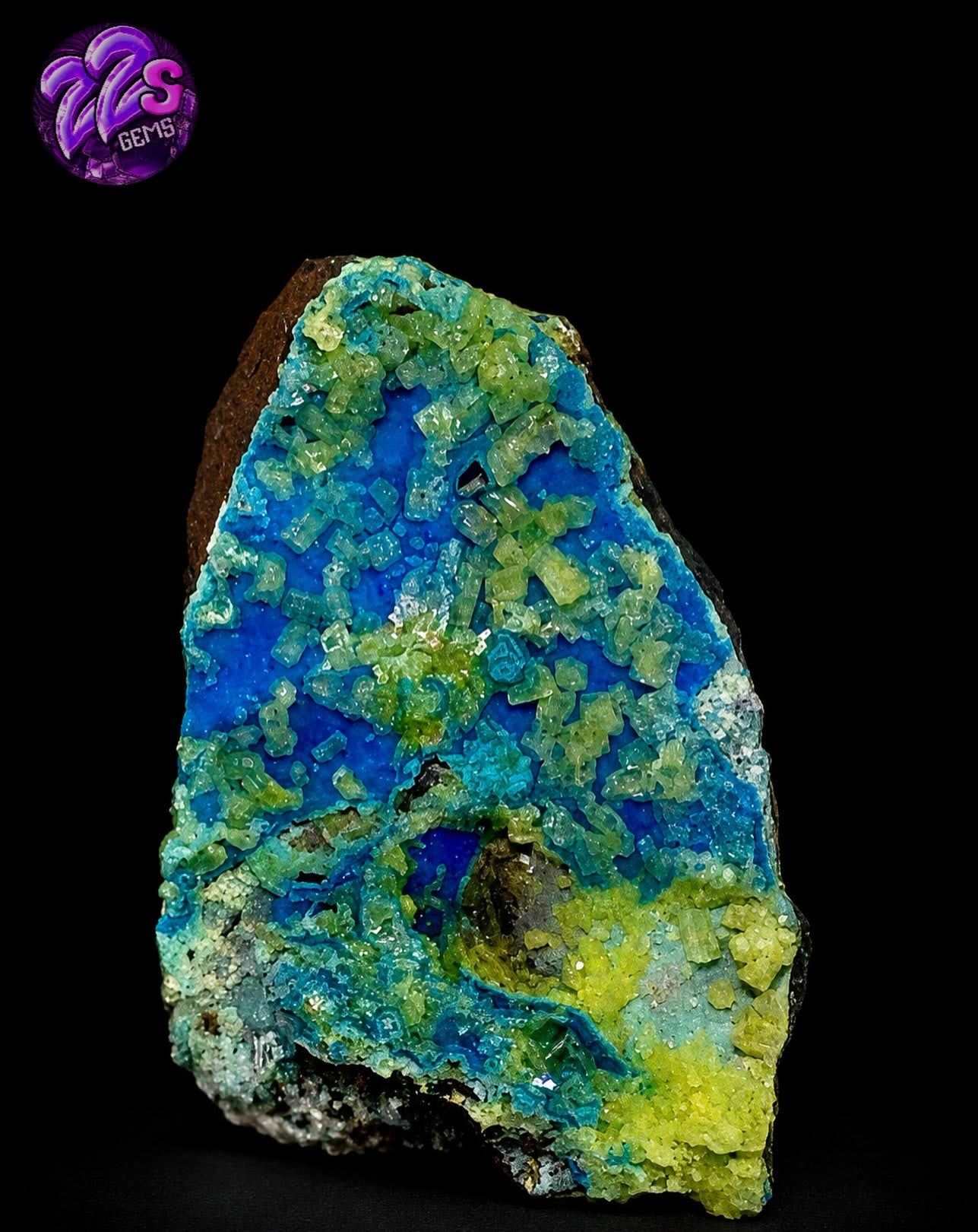 WHERE ELECTRIC BLUE MEETS NEON GOLD