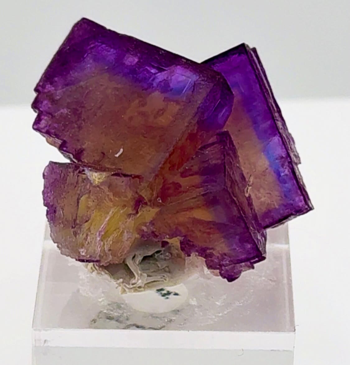Collector-grade color in miniature form