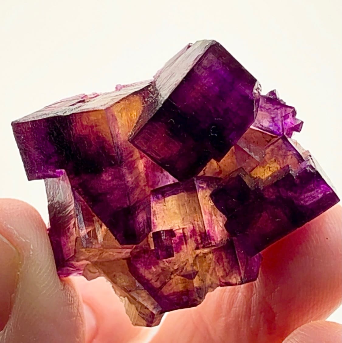 Illinois fluorite Banger captured in miniature