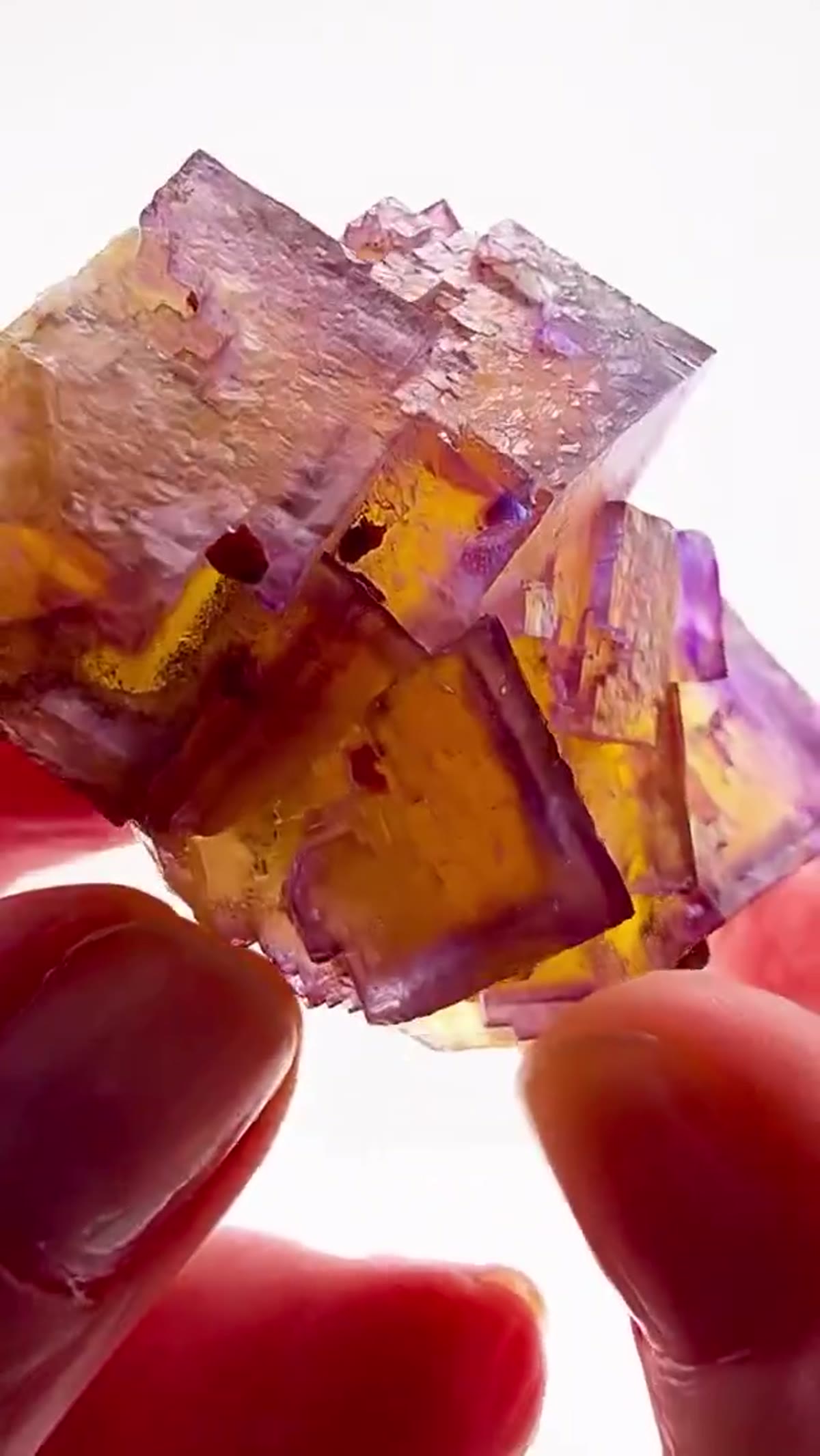 Fluorite Specimen from Minerva No. 1 Mine, Illinois: Three Colors. One Incredible Fluorite - view 4
