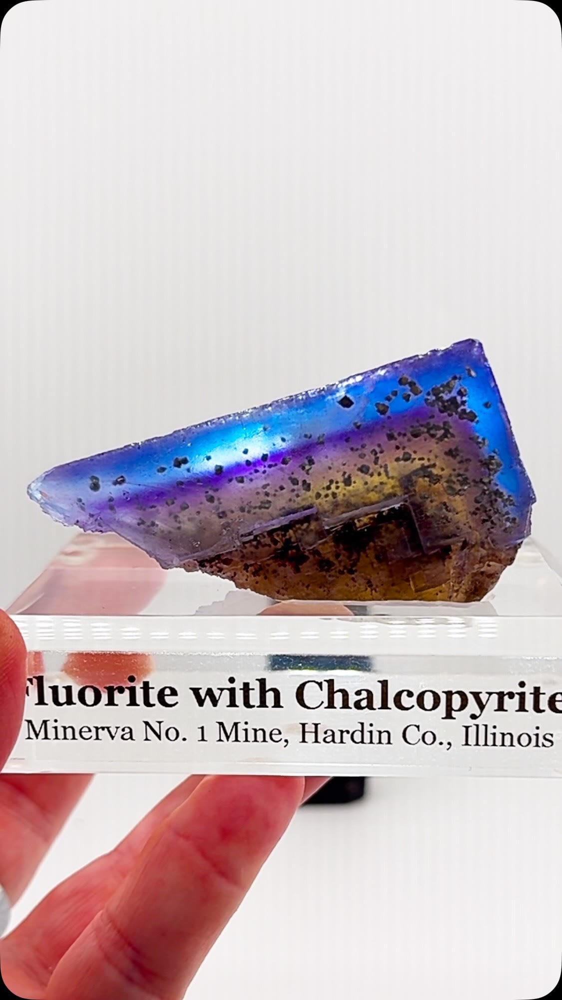 A COLOR EXPLOSION FROM MINERVA