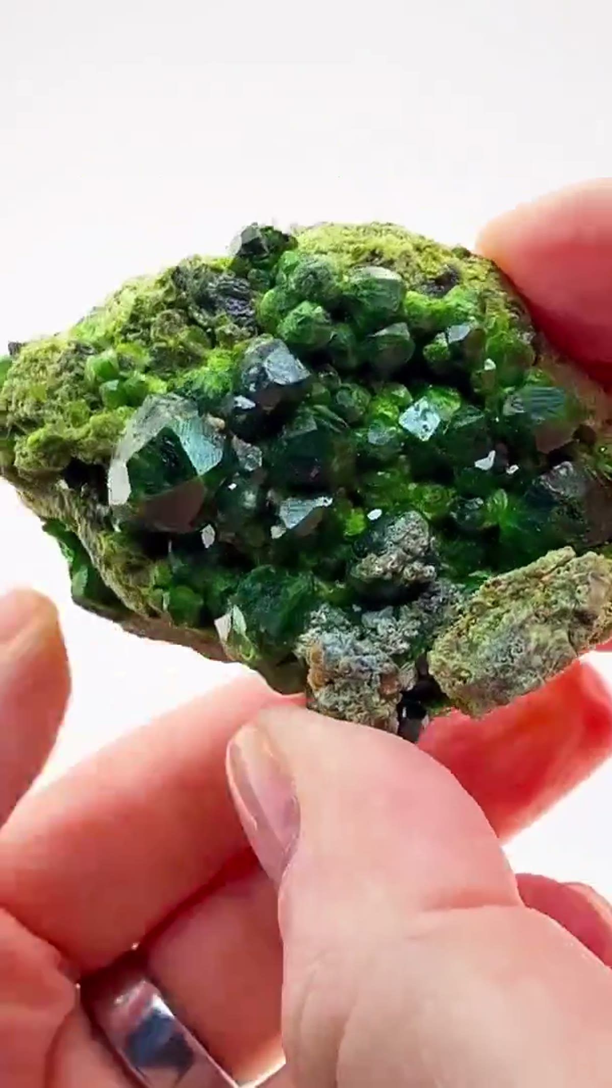 Garnet Specimen: Demantoid Green That Absolutely Glows - view 4