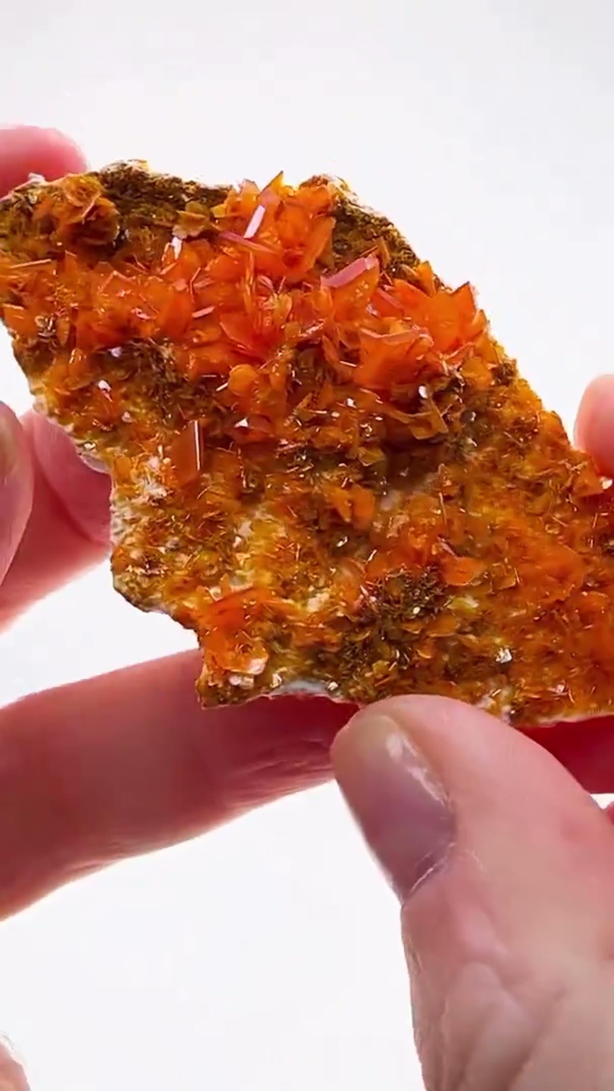 Wulfenite Specimen: Absolutely ON Double Sided - view 4