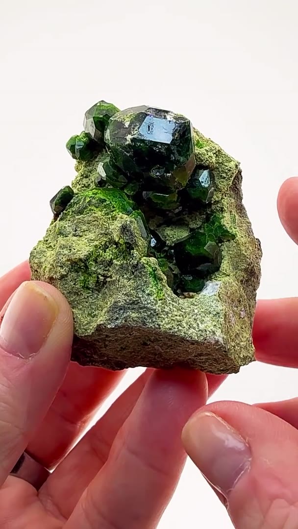 DEMANTOID WITH SERIOUS PRESENCE