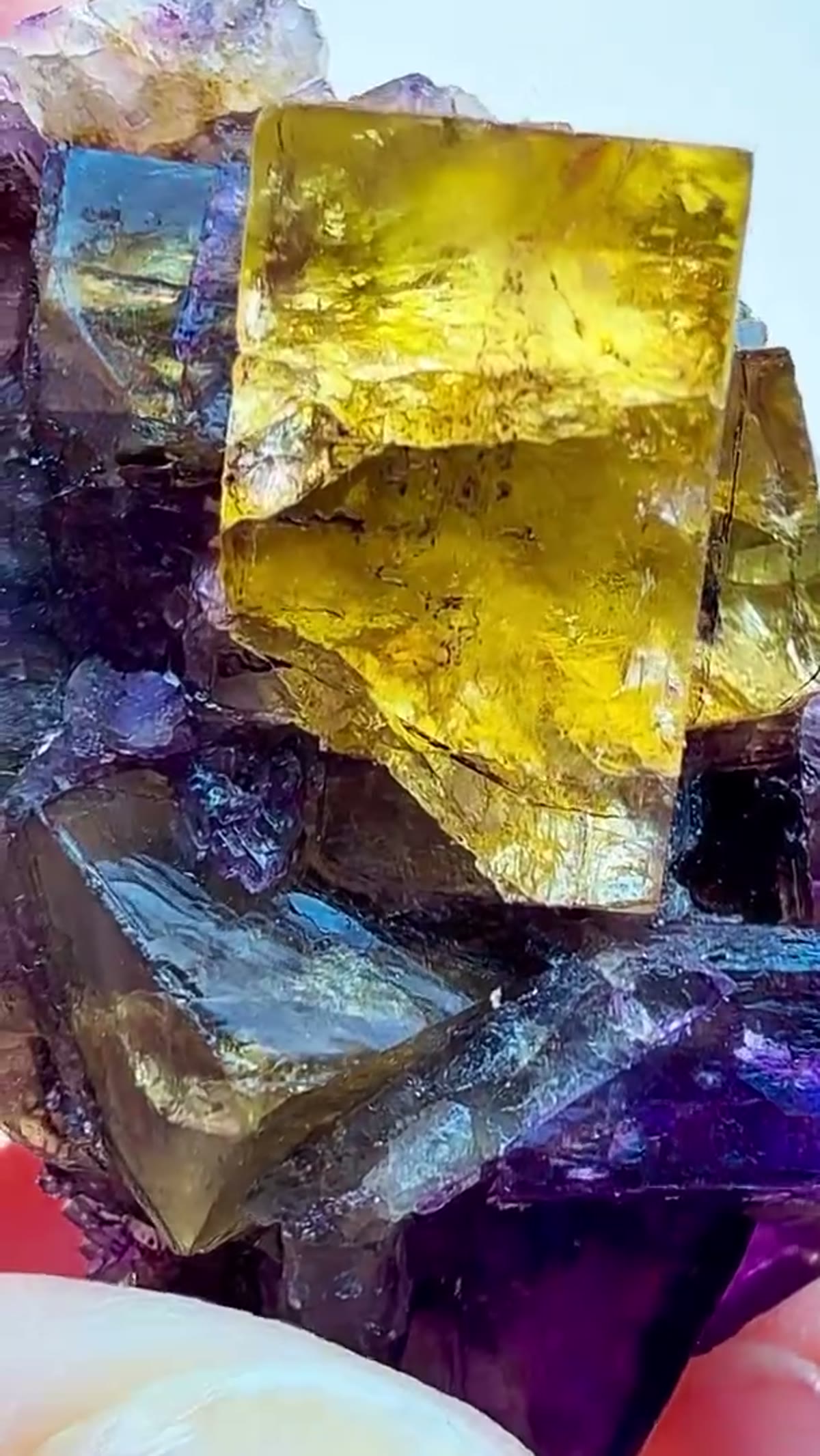 Fluorite Specimen from Hardin County, Illinois: Yellow & Purple Illinois Magic - view 4
