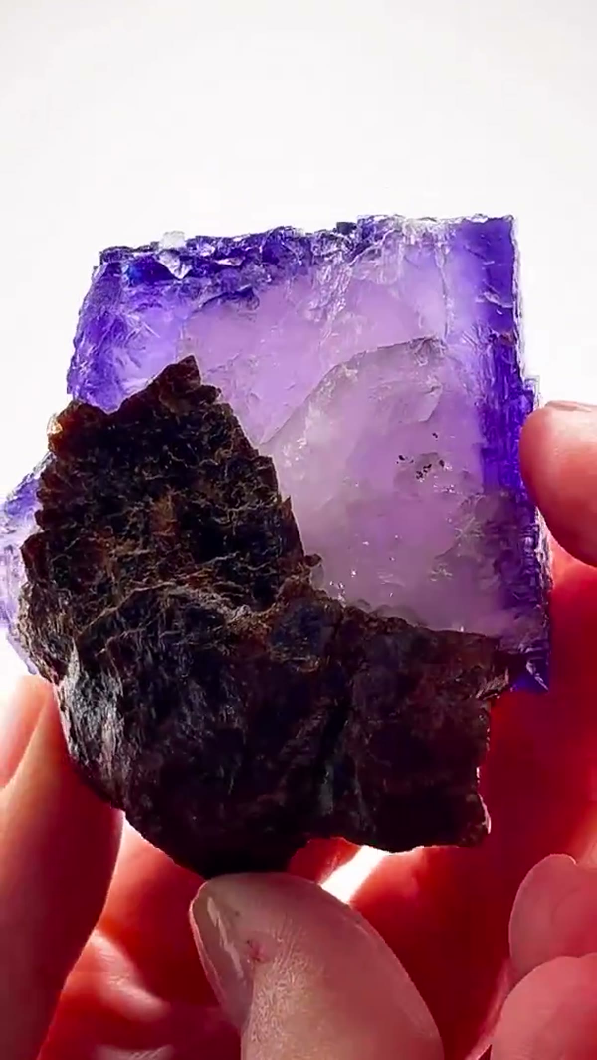 Fluorite Specimen from Elmwood Mine, Tennessee, 224.61 g - view 4
