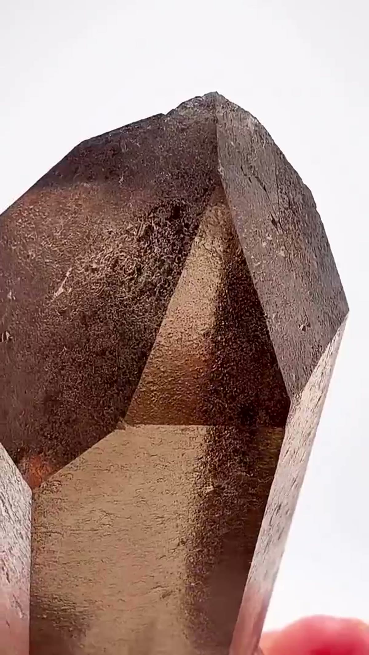 Smoky Quartz Specimen: Chamonix Smoky Quartz Perfection - view 4
