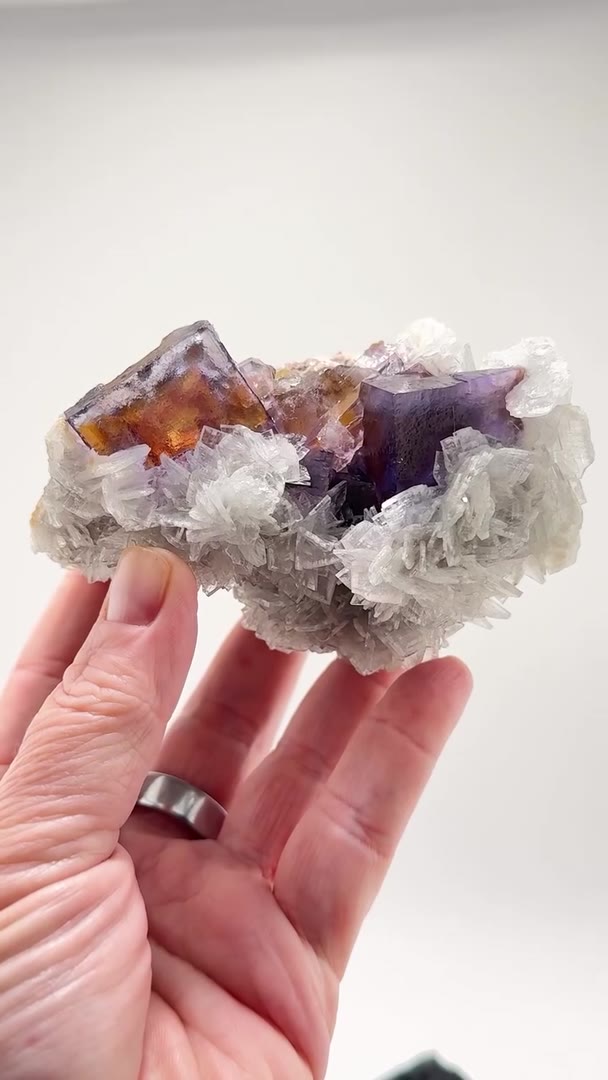 MINERVA NO. 1 — A SPECIAL PIECE WITH SERIOUS HISTORY