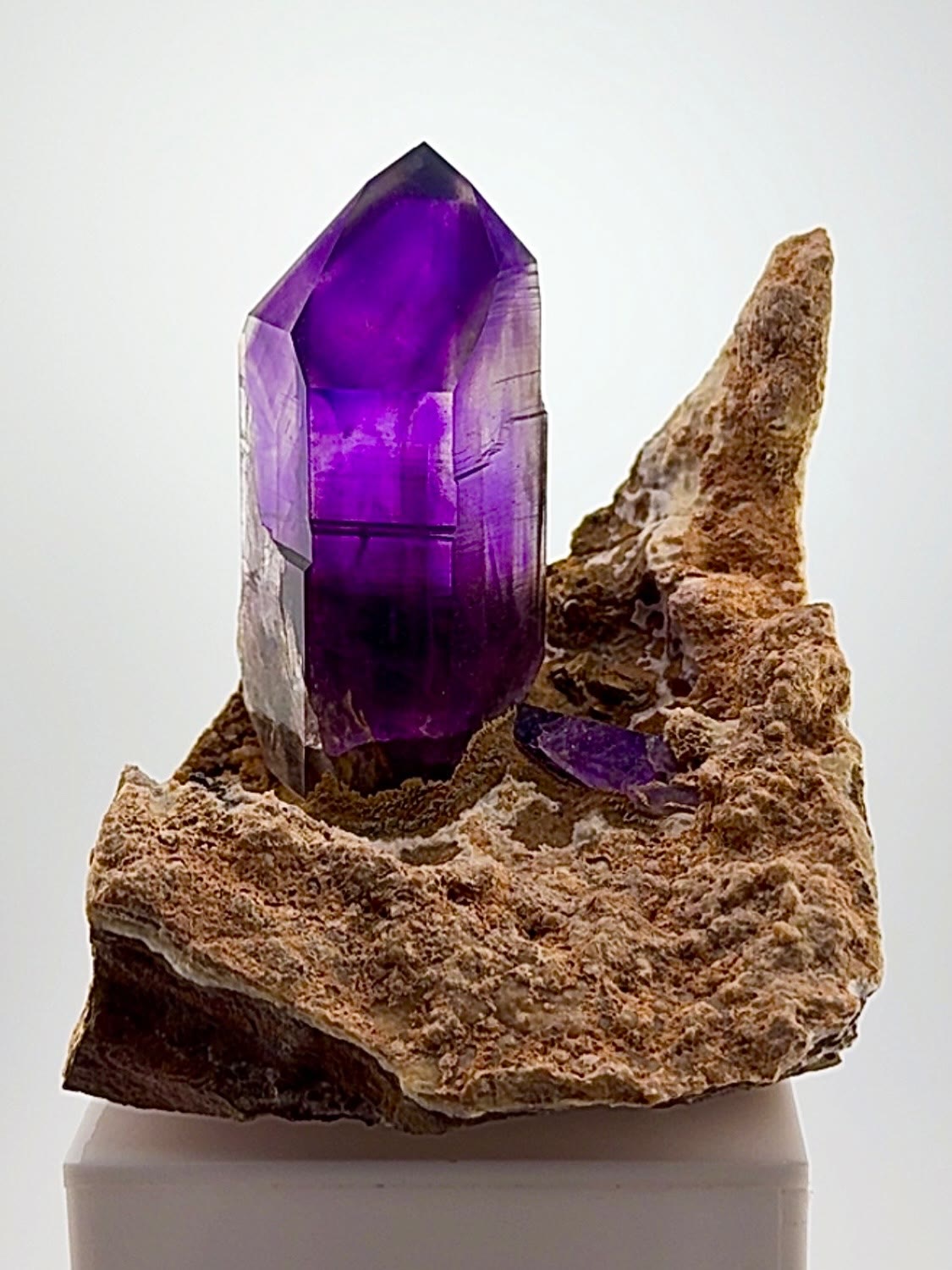 BUKS CLAIM AMETHYST ON MATRIX — ABSOLUTE COLLECTOR BEAUTY