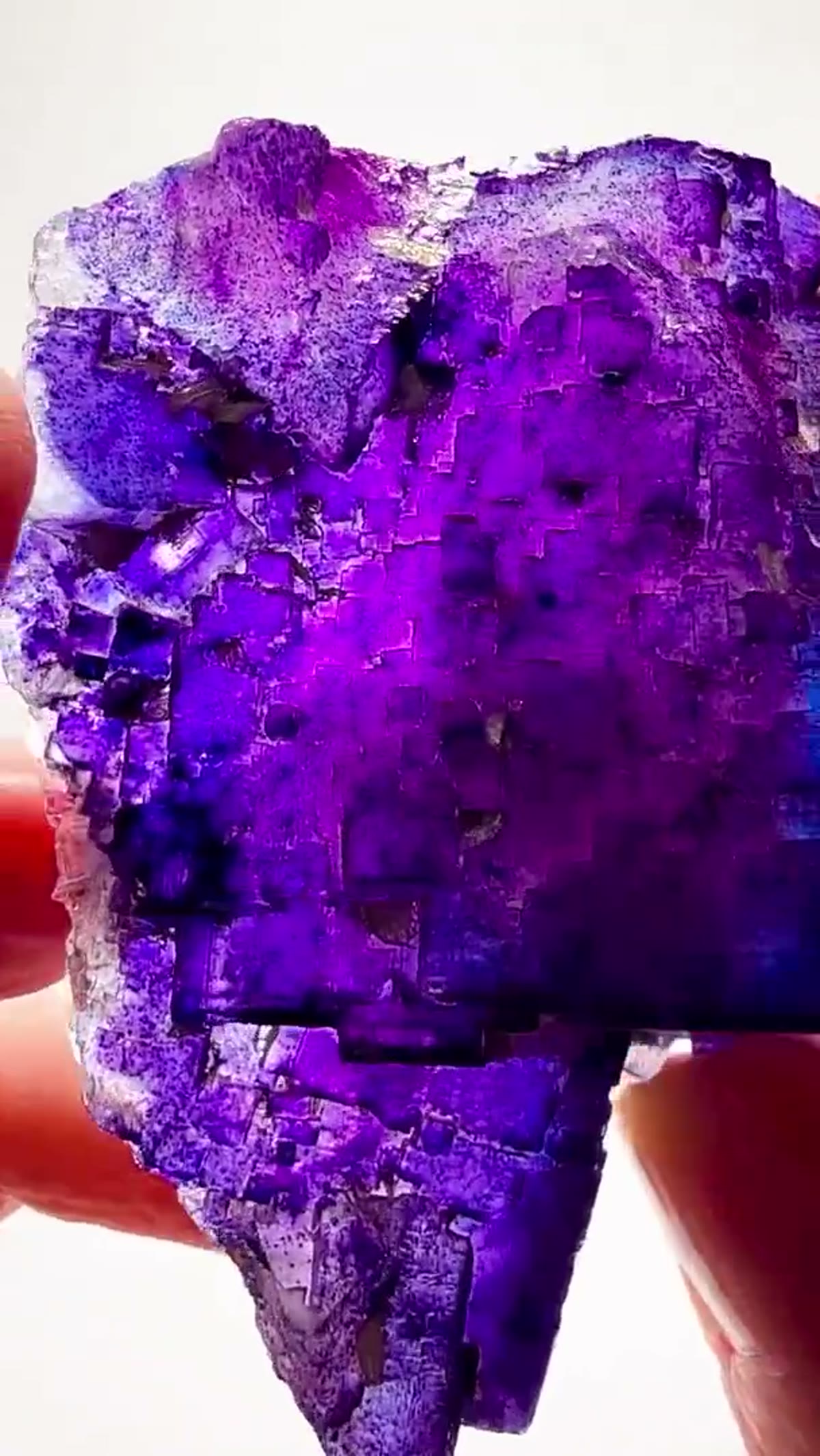 Fluorite Specimen from Denton Mine, Illinois: Denton Mine Color at its Finest - view 4
