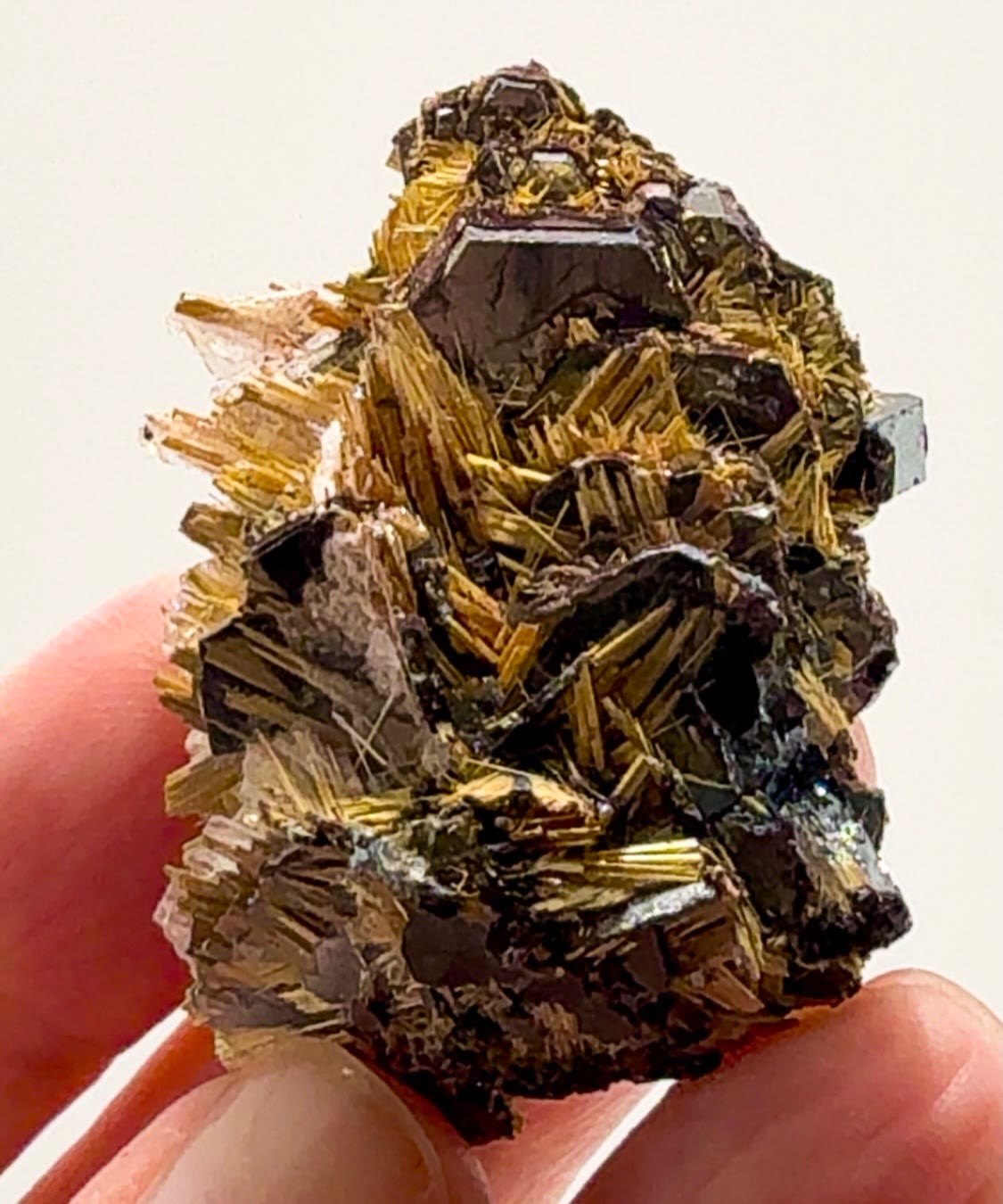 FOUR BRAZILIAN RUTILE BEAUTIES