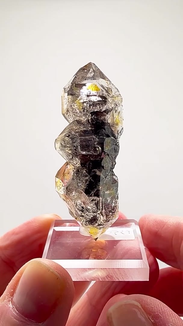 HERKIMER BLACK SCEPTER MAGIC