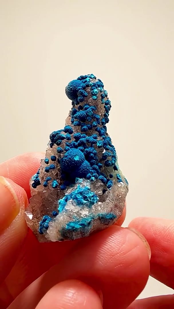 CONGO BLUE AT ANOTHER LEVEL