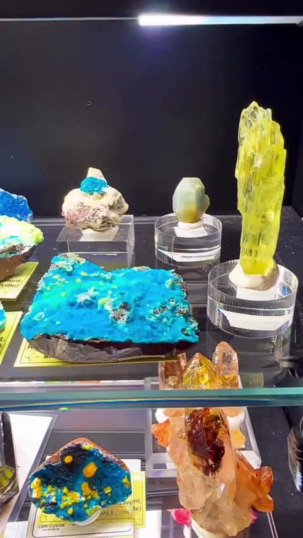 MINIATURE CASE MAGIC