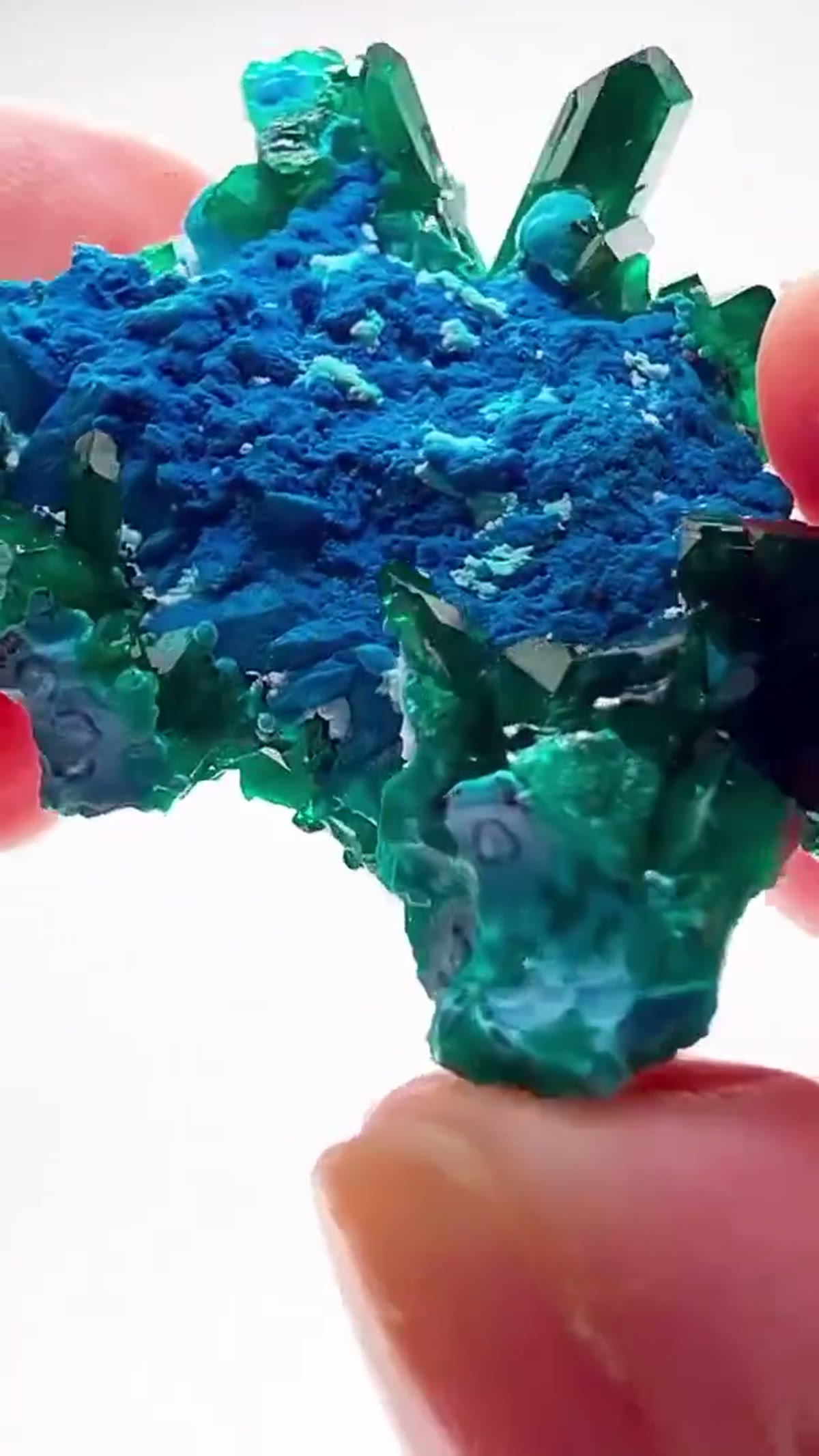 Dioptase Specimen: Congo Color Overload - view 4