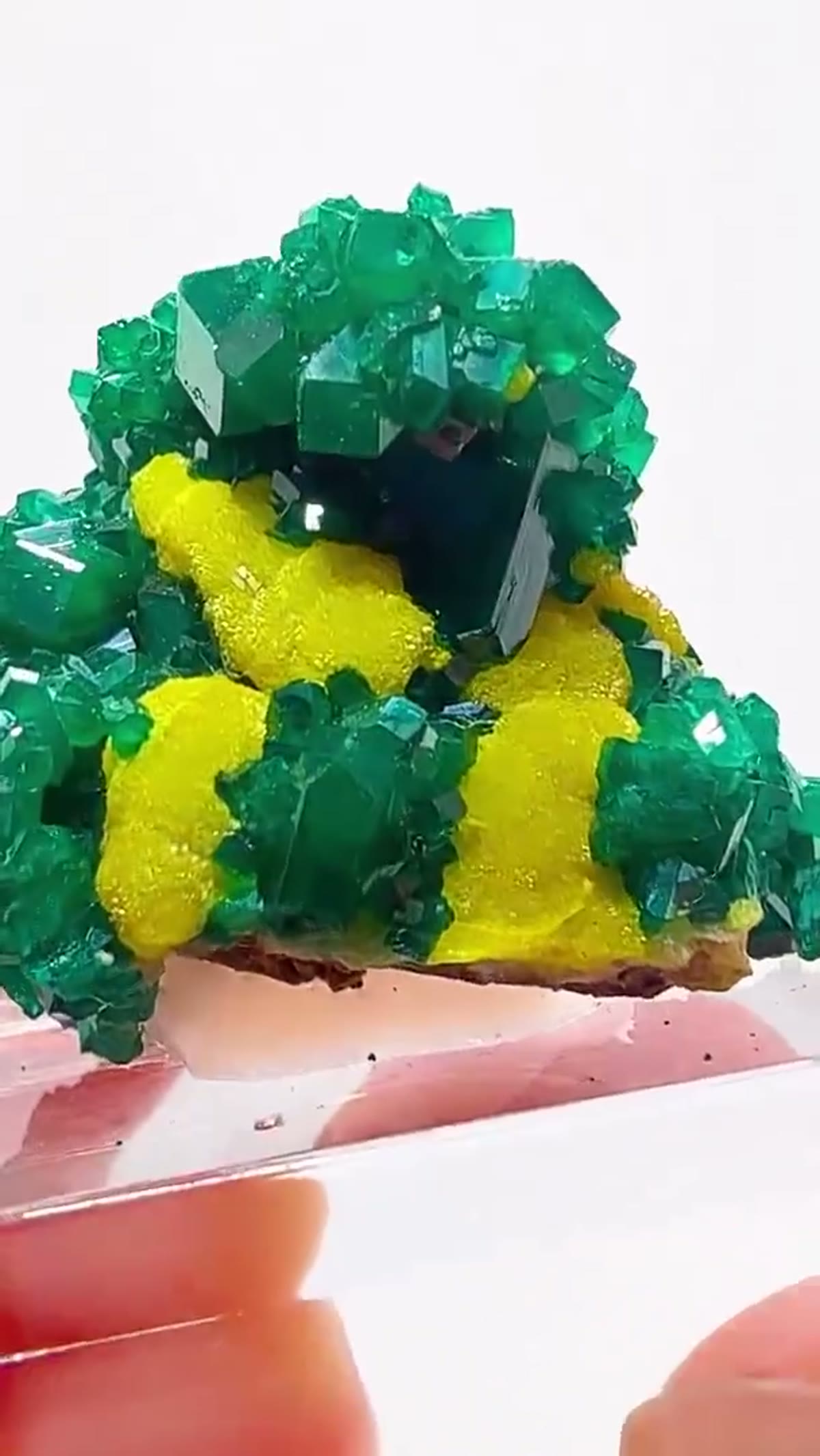 Dioptase Specimen: Green & Gold Congo Magic - view 4