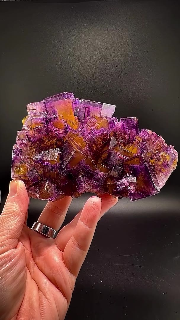 15 CM OF DENTON MINE COLOR INSANITY