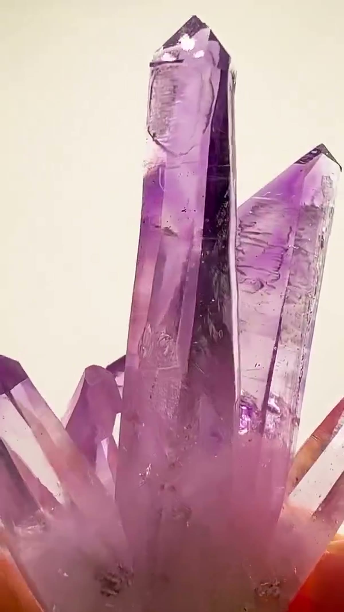 Amethyst Specimen from Mexico: Veracruz Purple Perfection - view 4
