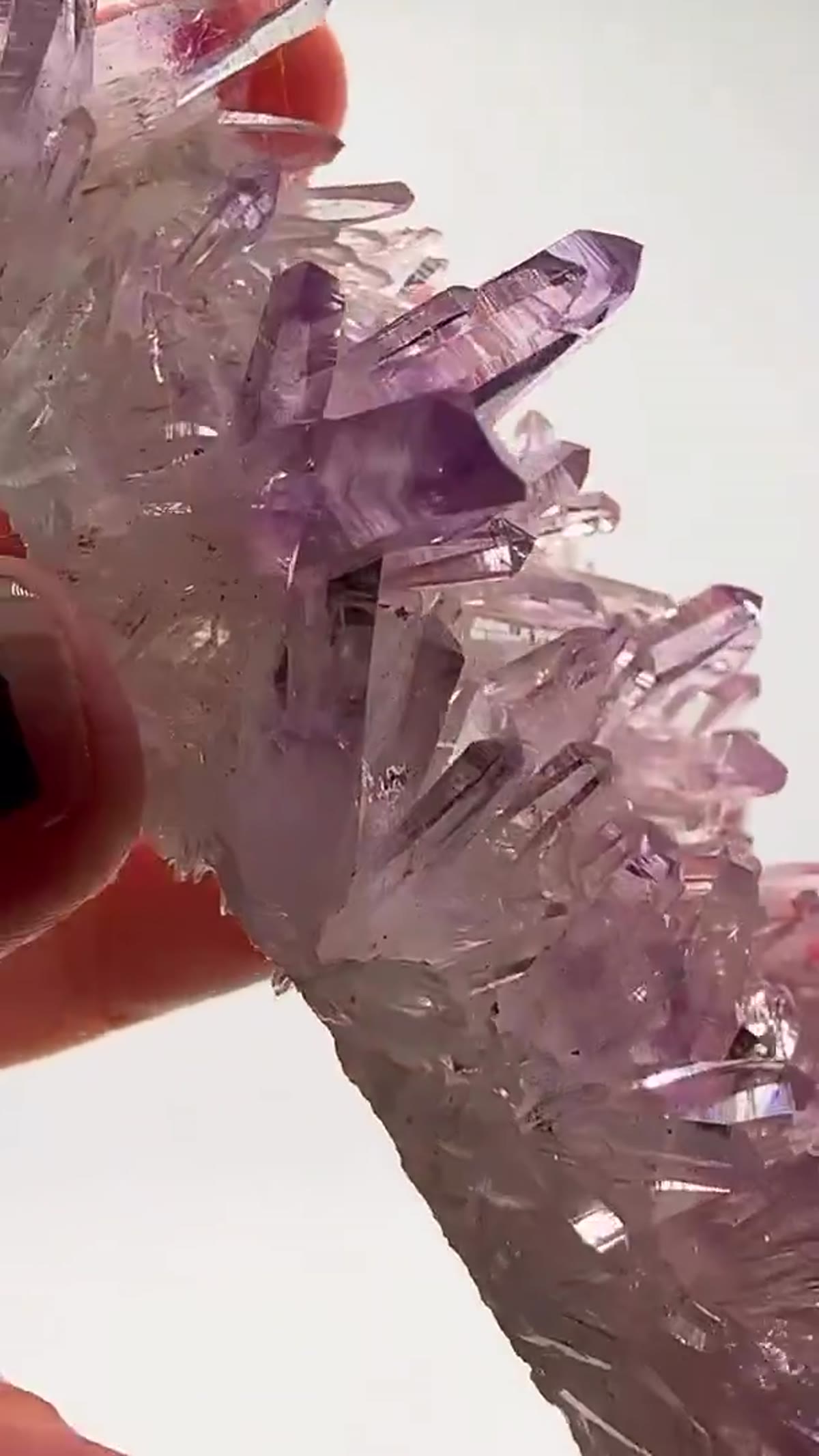 Amethyst Specimen from Mexico: 24-Hour Flash Deal - view 4