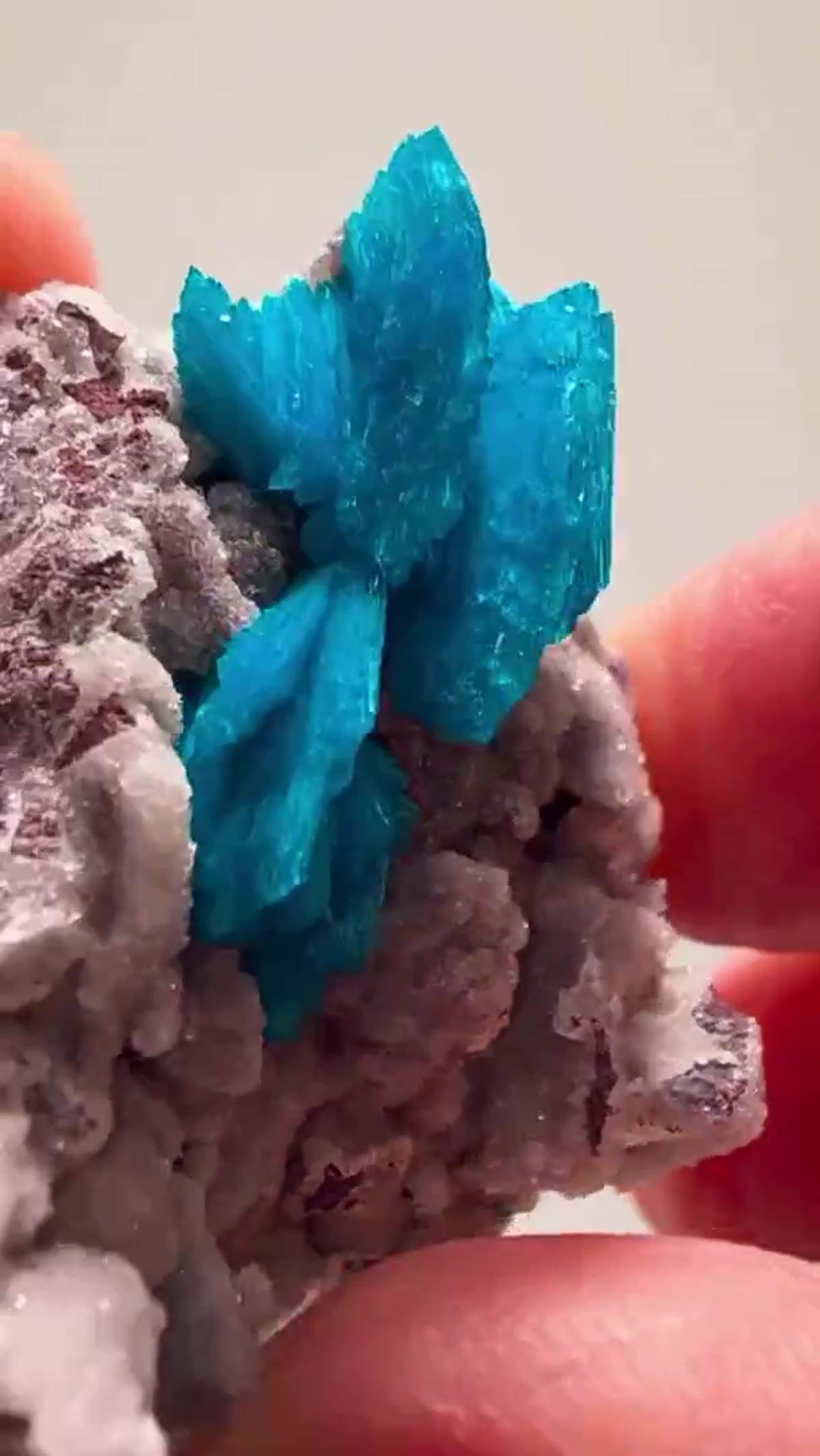 Mineral Specimen: Cavansite Color That Doesn’t Even Look Real - view 4