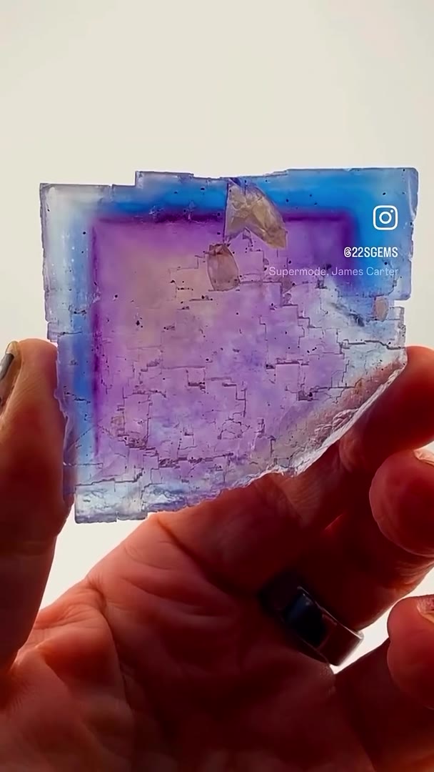 ILLINOIS BLURPLE PERFECTION… MINERVA NO. 1 MAGIC!