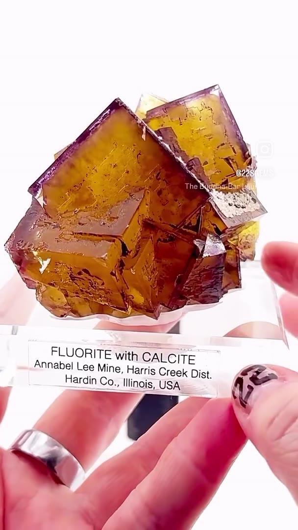 ANNABEL LEE FLUORITE… PURE GLASSY PERFECTION!