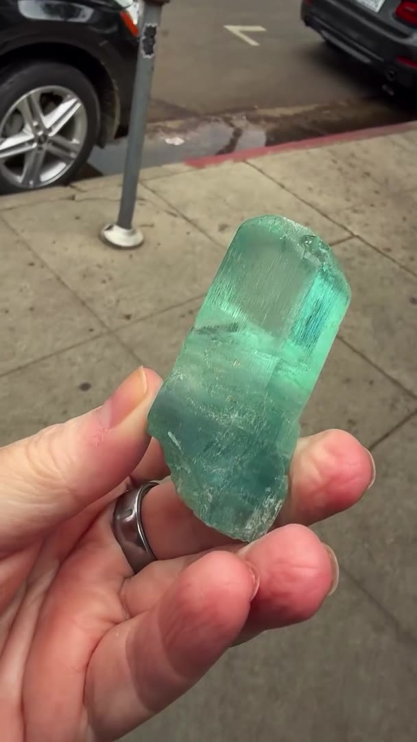 OCEAN VIBES ON THE STREETS OF LOS ANGELES!
