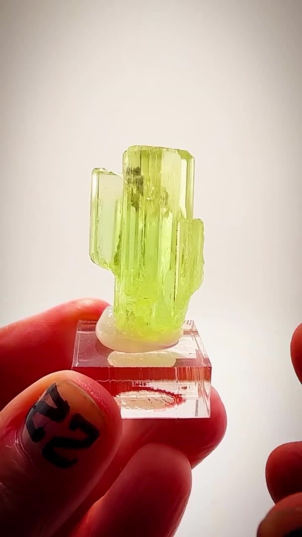 MEET THE CACTUS… 16.15 GRAMS OF PURE BRAZILIAN HELIODOR MAGIC!