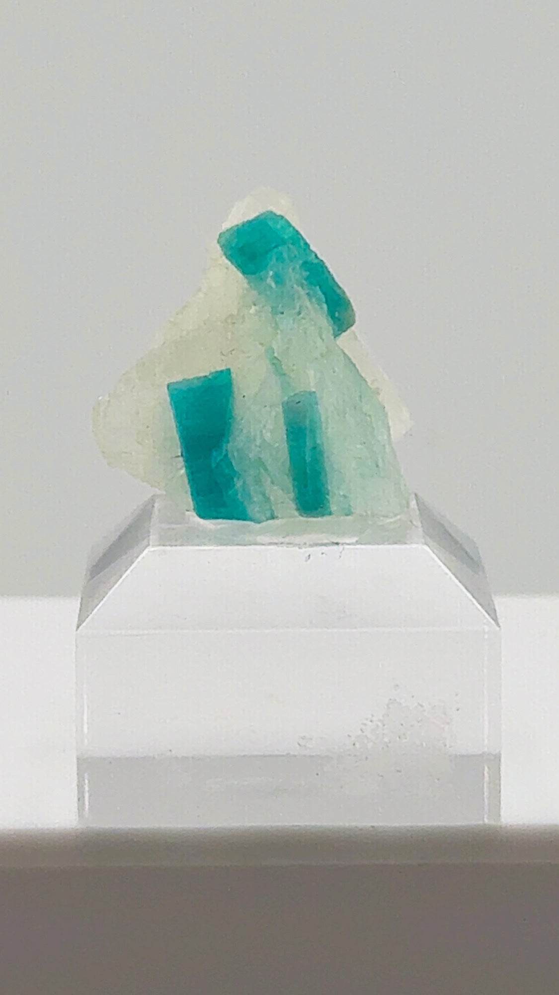 That Blue Paraiba Tourmaline in Quartz