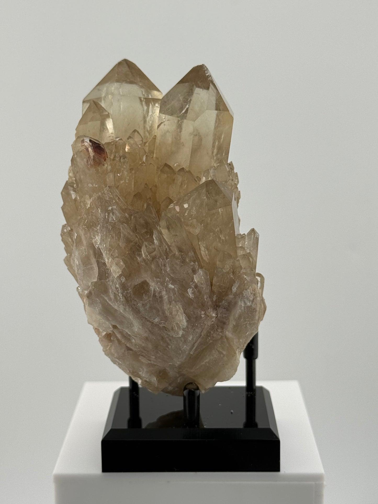 Congo Citrine Beauty