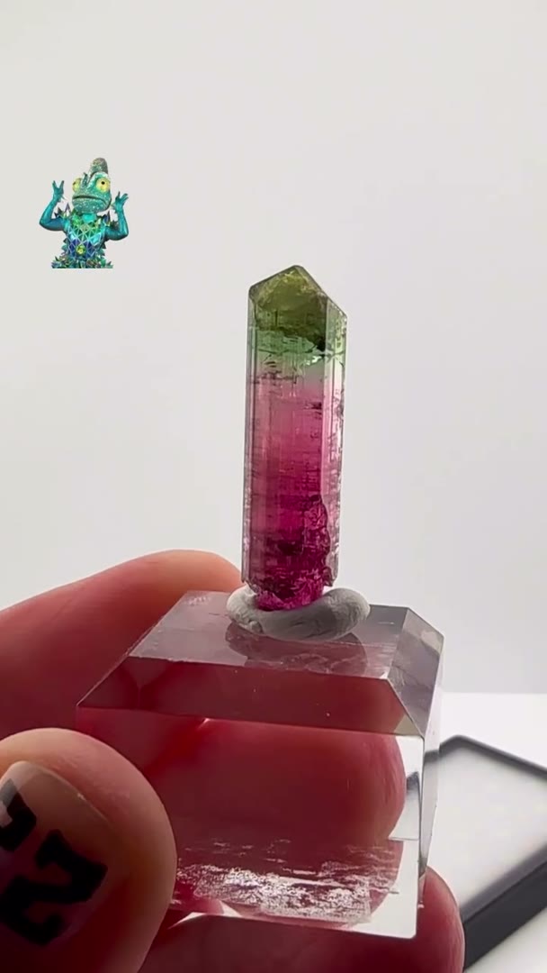 Sold archive specimens - 22sGEMS